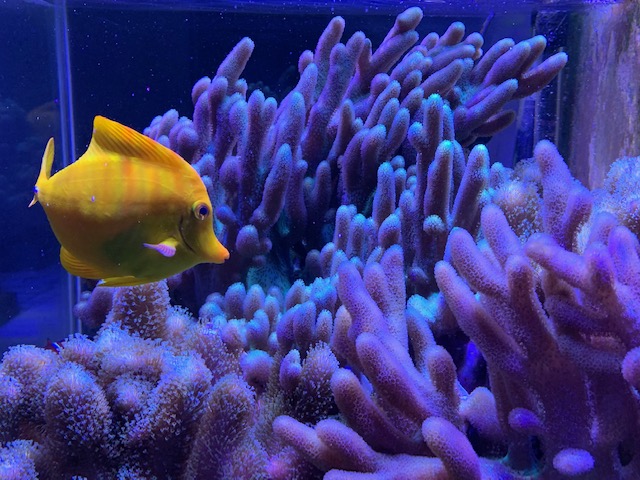 A2BF4A65-CB7A-4B4E-807A-FA666B0A50BF