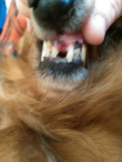 [Image: IMG-20210217-183942.jpg]