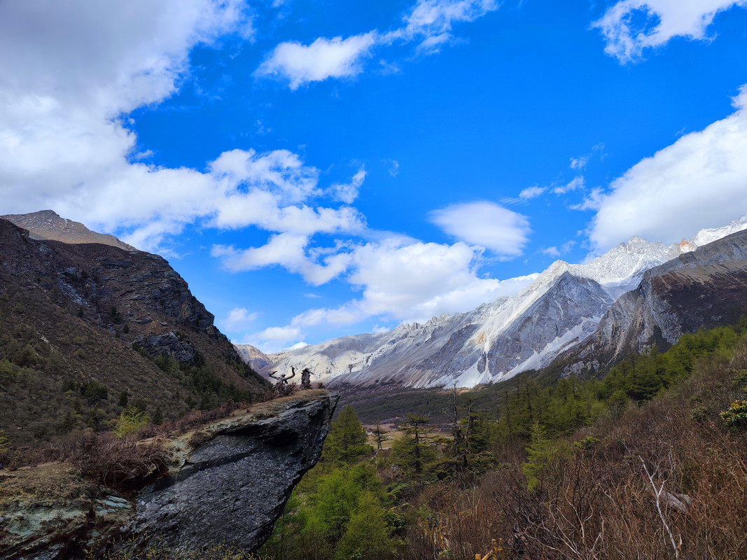 IMG_20230520_160652_副本