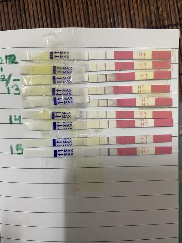 CDB70D9A-CBEC-44E1-AD3A-08C5B2E03EBF