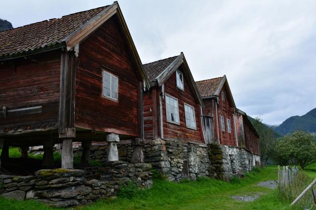 21 días por el Sur de Noruega - Blogs de Noruega - Día 11. Tren de Flam (2)