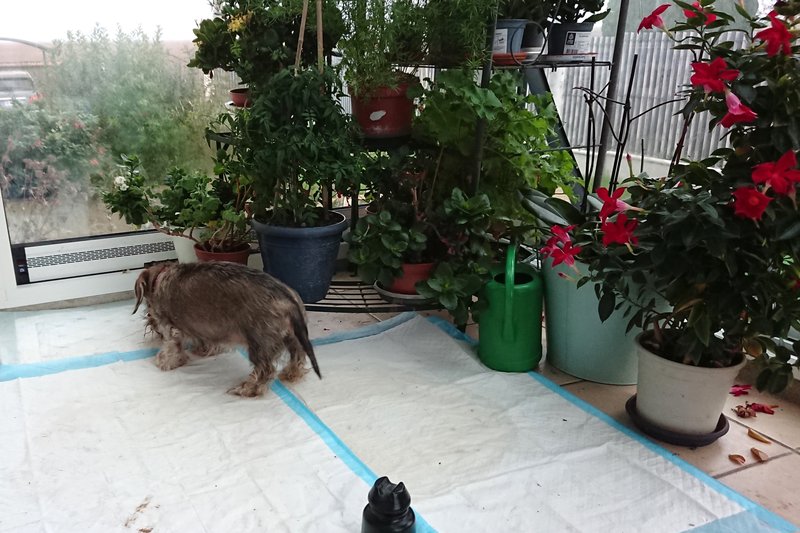 [Image: DSC-3287.jpg]