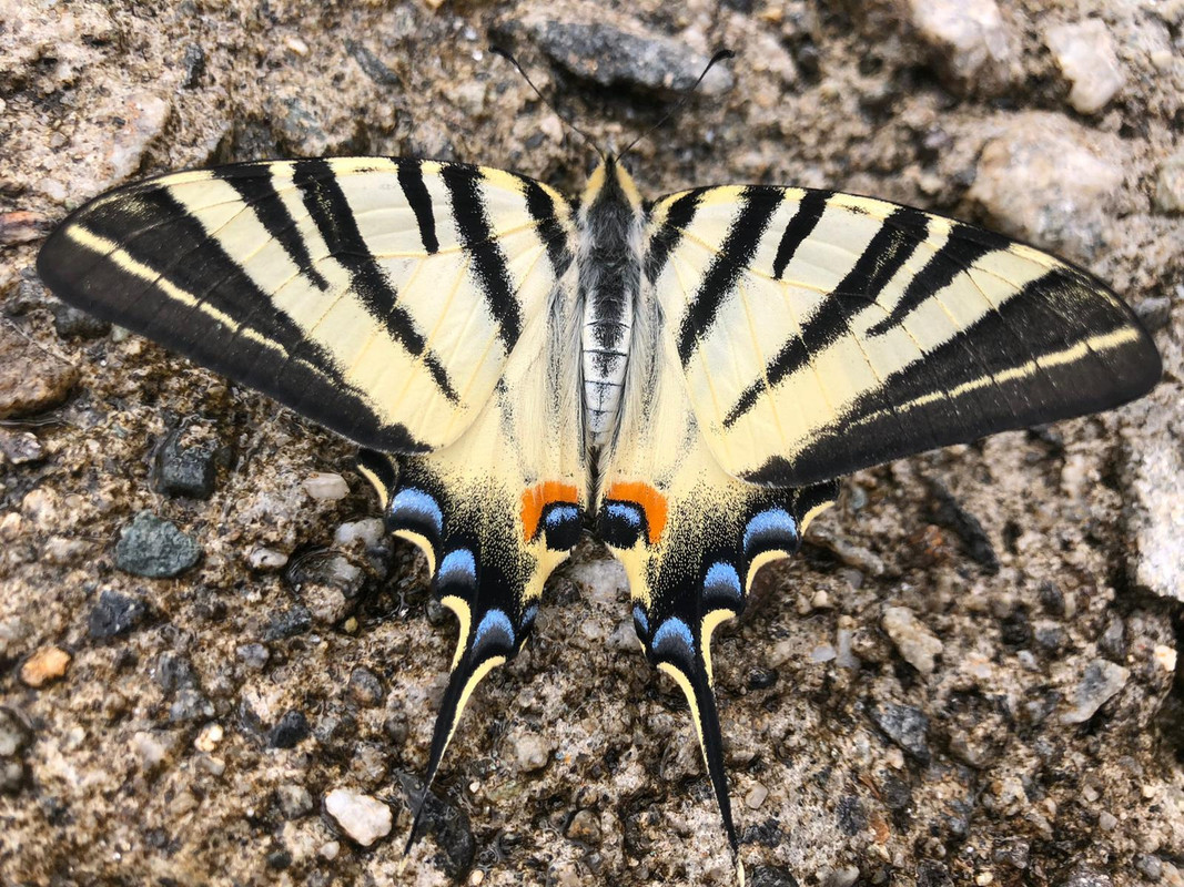 IMG-20220817-WA0002(1)