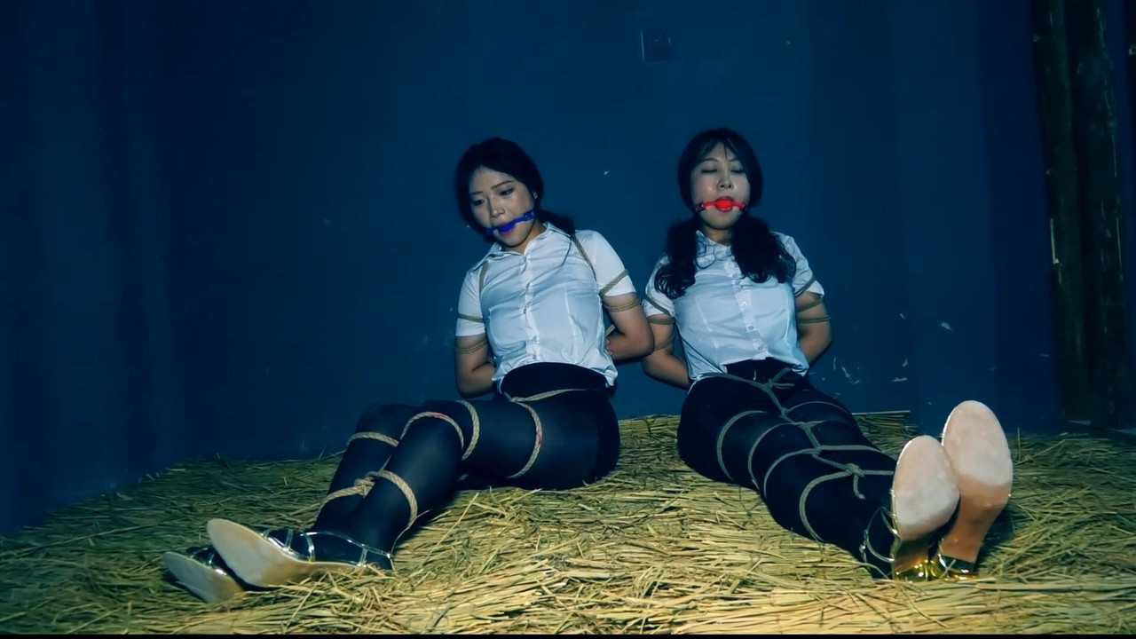 胜景影视 双花卧底 二.mp4_20250110_185506.950