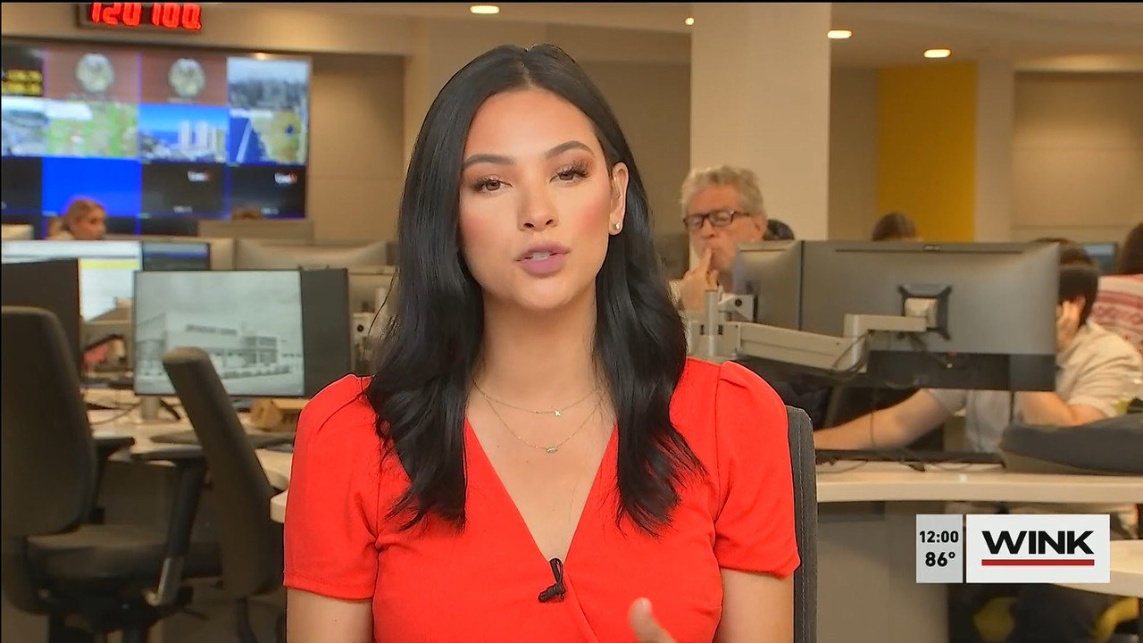 11.01 - 16.00.00 - The WINK Noon News  ᴺᵉʷ. Midday news update..ts_snapshot_07.07.629