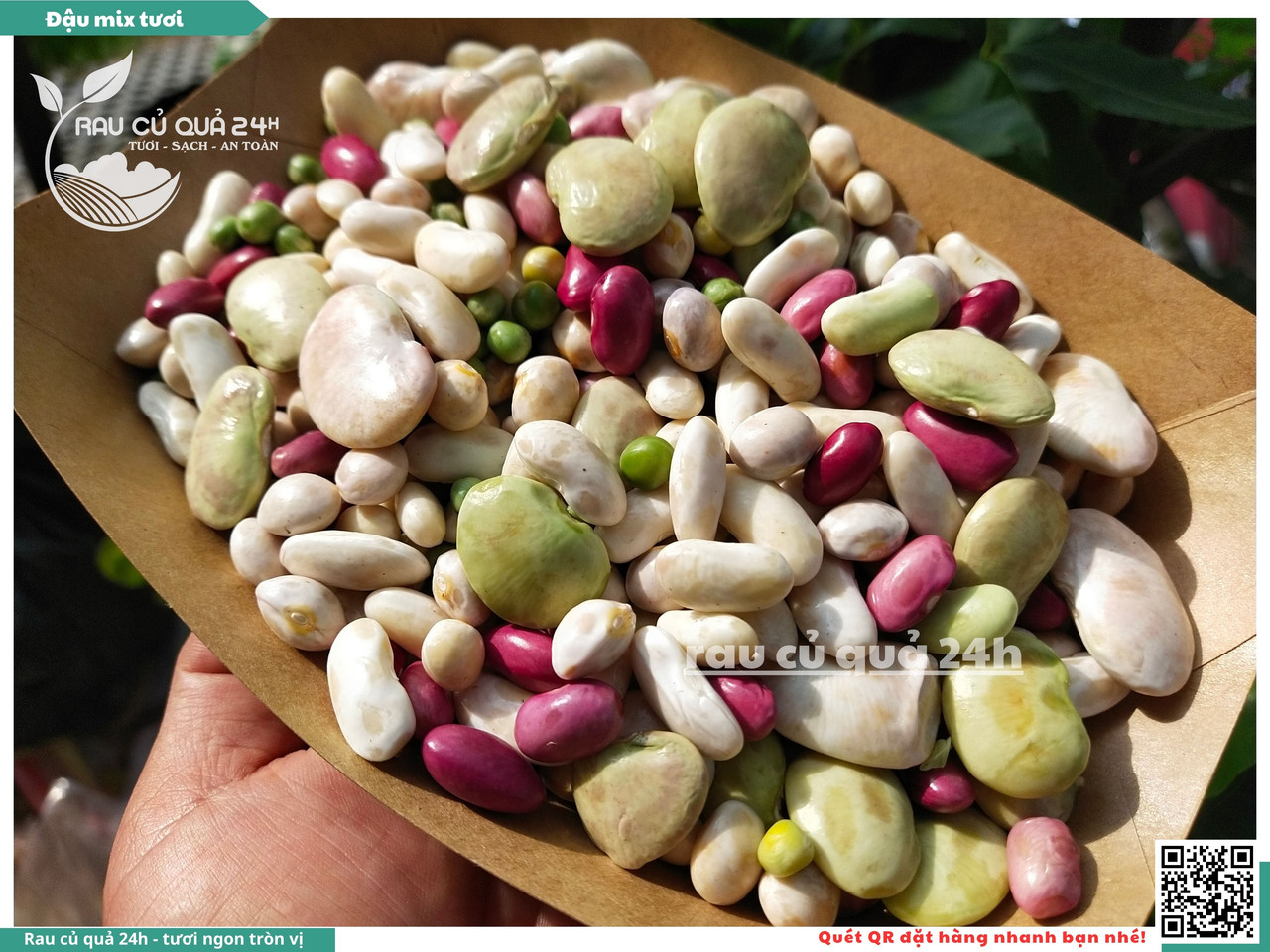 Đậu Mix Tươi 11