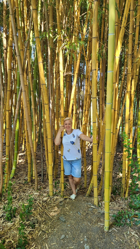 jMFq5pIBtksxWFzkMDfX8GgkJqkuwpw-goRpw2Z7Vjq78KJcQ6-0IqApCmoE-ary9V3Tibo9jKJmut-pYY6m0v98