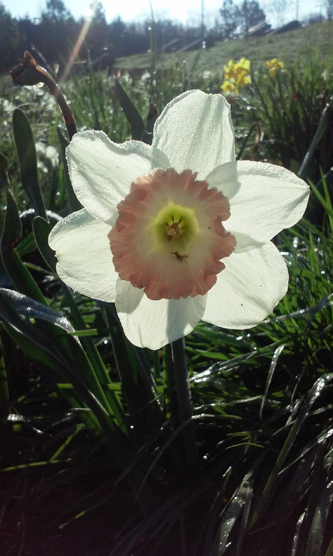 20150324_092747