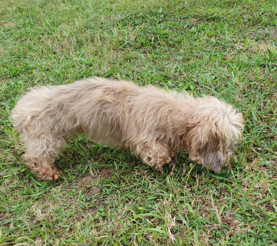 [Image: 20210920-070718.jpg]