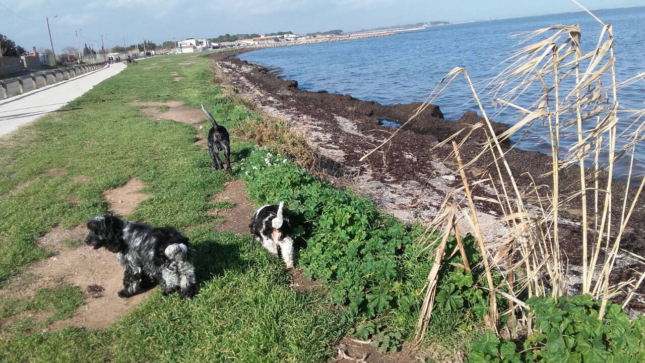 B89609EB-6C8D-405B-B847-829C871EA000