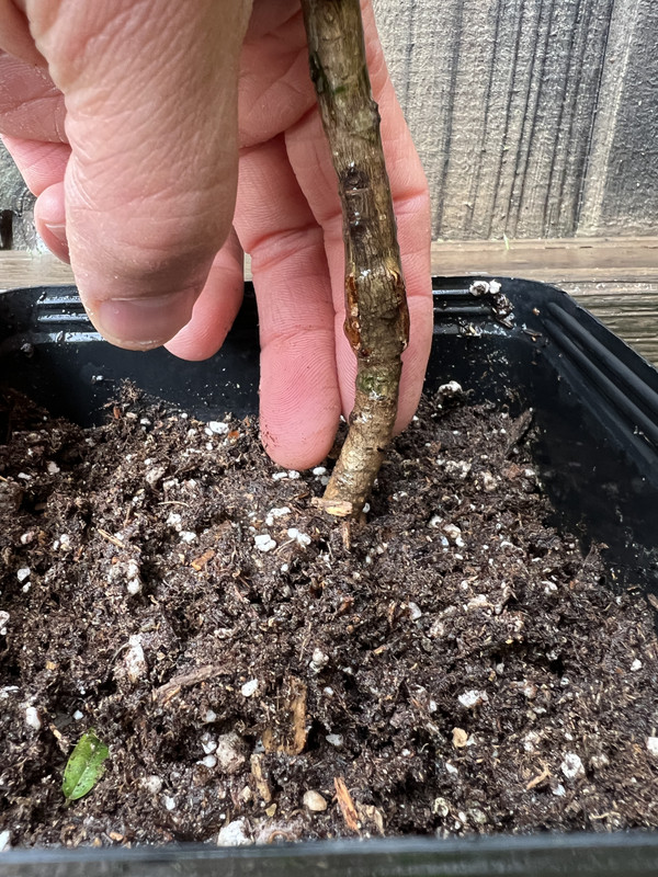 4925AF79-7CEB-492F-A880-CE09A8301A1F