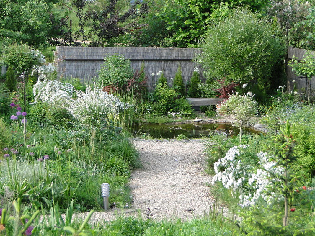 DSC06380