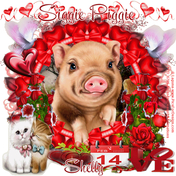20-Laguna-Valentine-Piggie-Shelly
