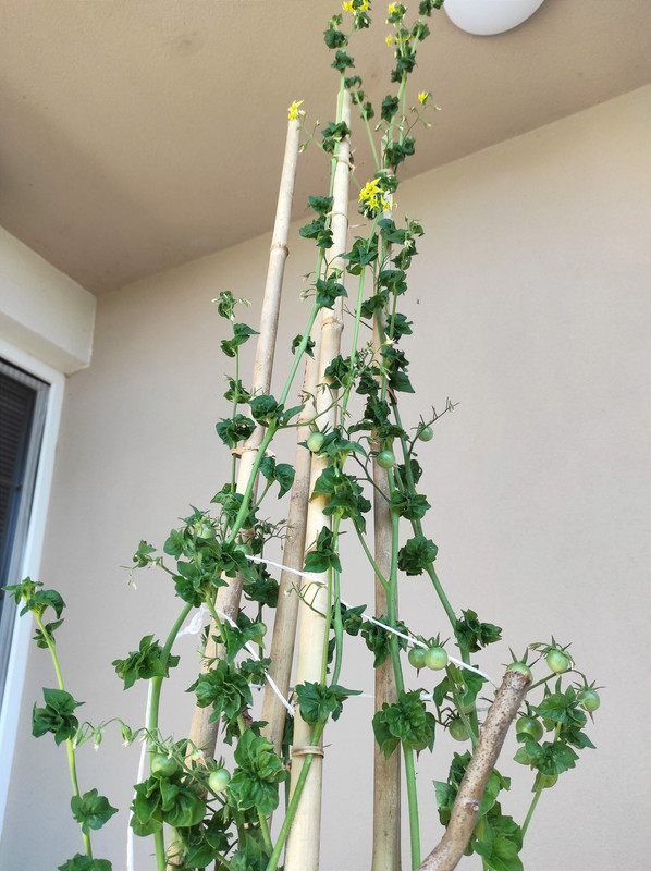 518321183_24058321940453512_3195040608972495439_n