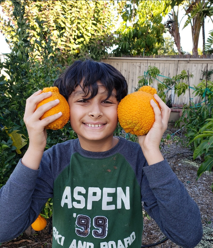 Screenshot_20210419-122532_Photos