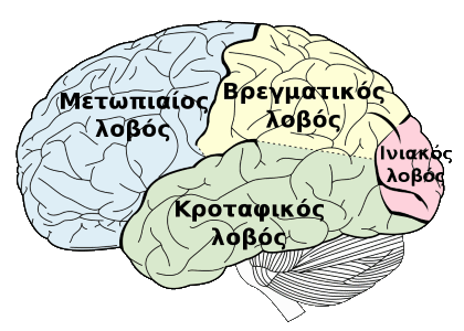 Μνήμη
