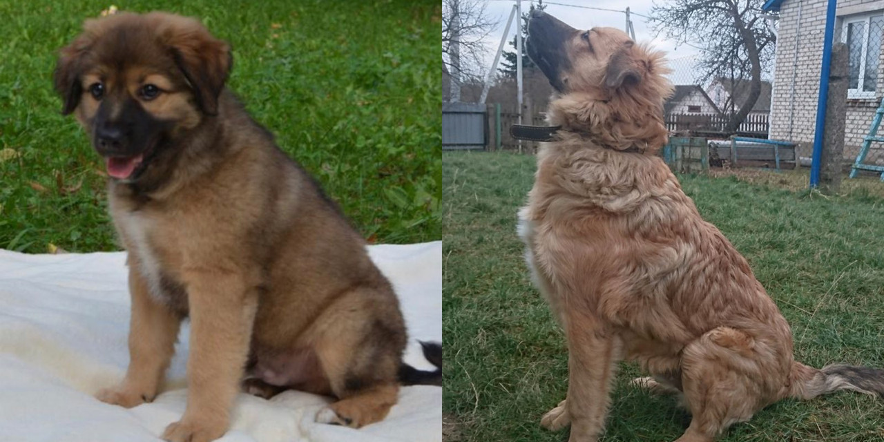 IMG-ad7802d1cef840031098250a8bbcacaa-V