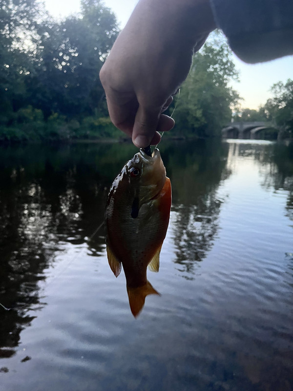 3C560FF5-AD03-4EEB-8786-51632DDDB7F6