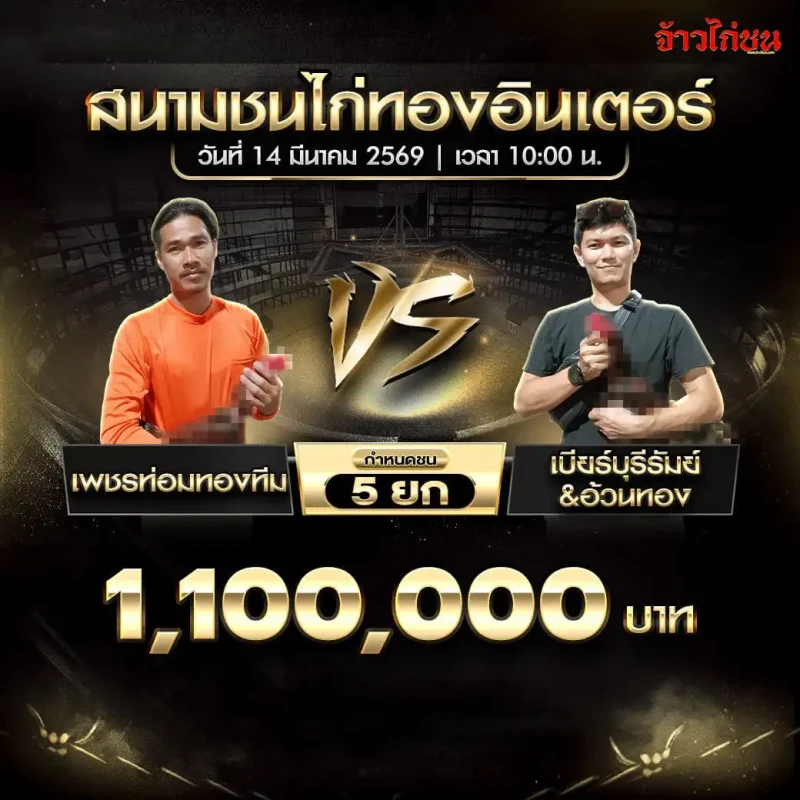 โปรแกรมไก่ชน คู่ เพชรท่อมทองทีม พบ เบียร์บุรีรัมย์และอ้วนทอง สนามชนไก่ทองอินเตอร์ 14 มีนาคม 2569