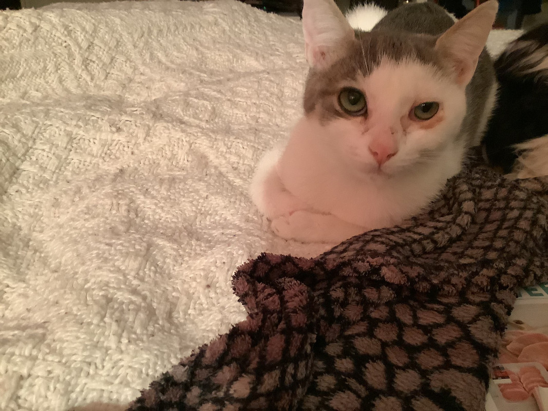 577EE6C6-D055-4DD8-BD5E-9D9064EE2C90