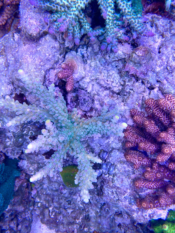 FDE36F3A-EDE6-4FCB-902D-D86EFC90412C