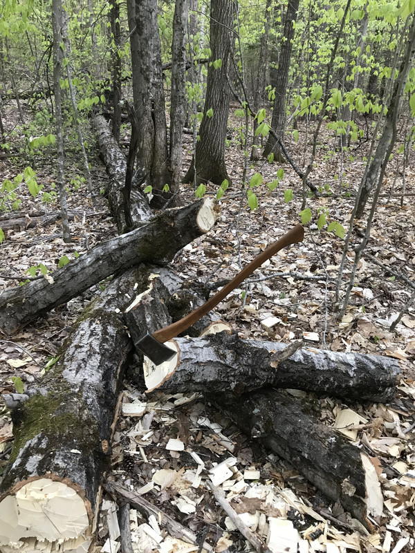 6E9AC2BF-71AA-4C6E-8461-E77E27022AE4