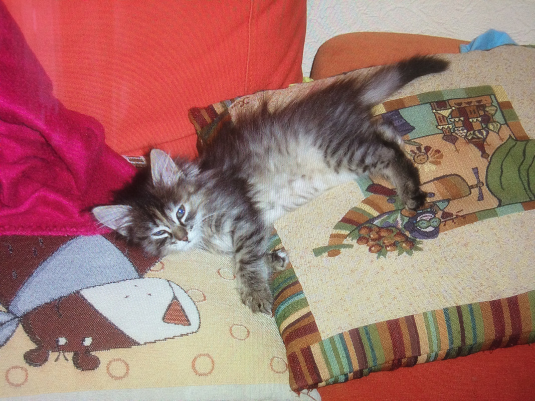 3A619C95-3DB2-4E41-B731-893DFF5111B5