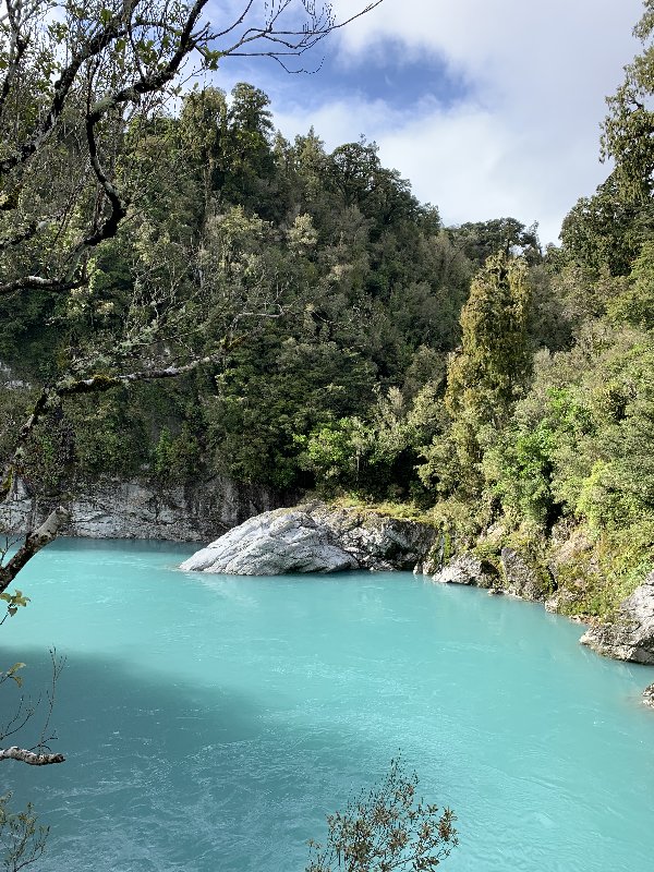 Hokitika-Frank Josef Glacier-Haast - Nueva Zelanda: La primavera Kiwi nos fue marcando la ruta (2)