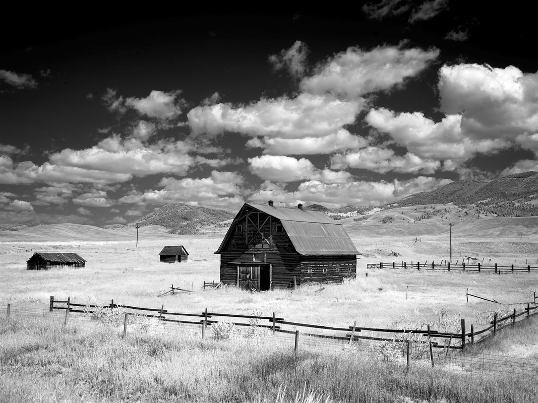 blacknwhite-barn-1635779-1280.jpg