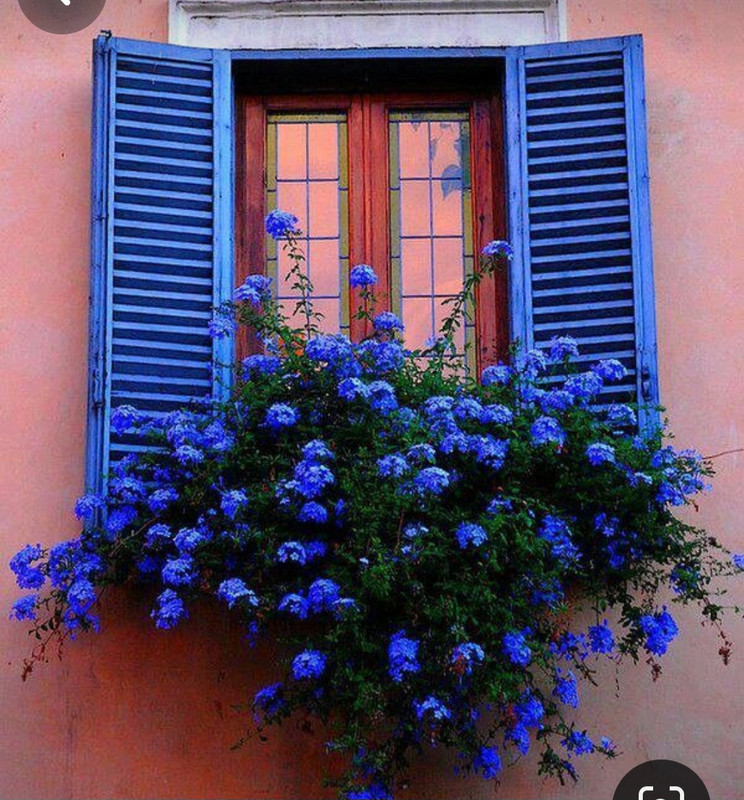 Screenshot_20240324_220302_Pinterest