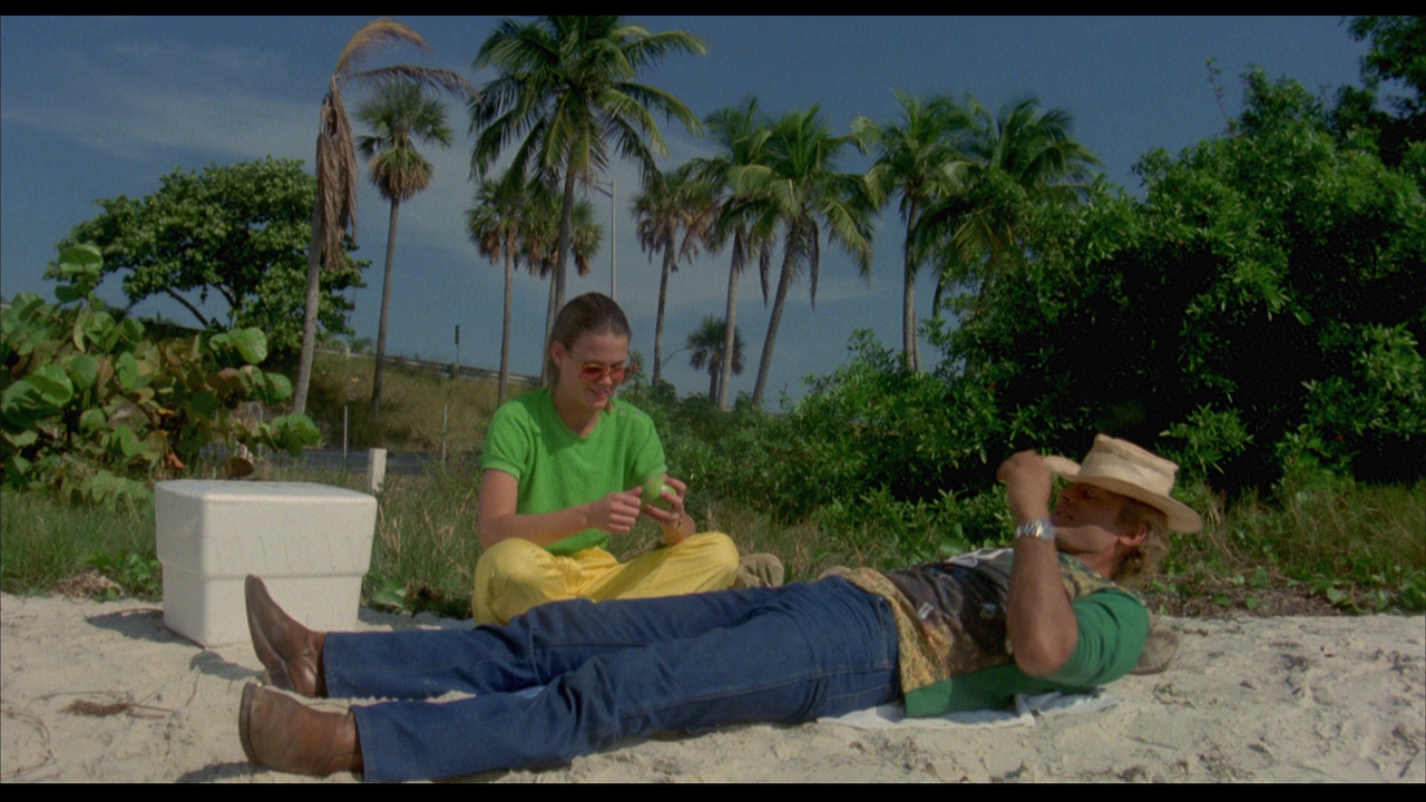 vlcsnap-2024-02-21-19h14m07s845