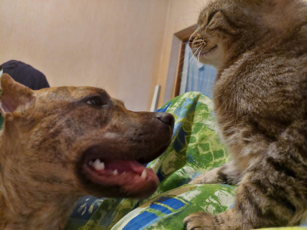 B1967F0D-57A1-43B1-B58B-6BC3D01E2E0A