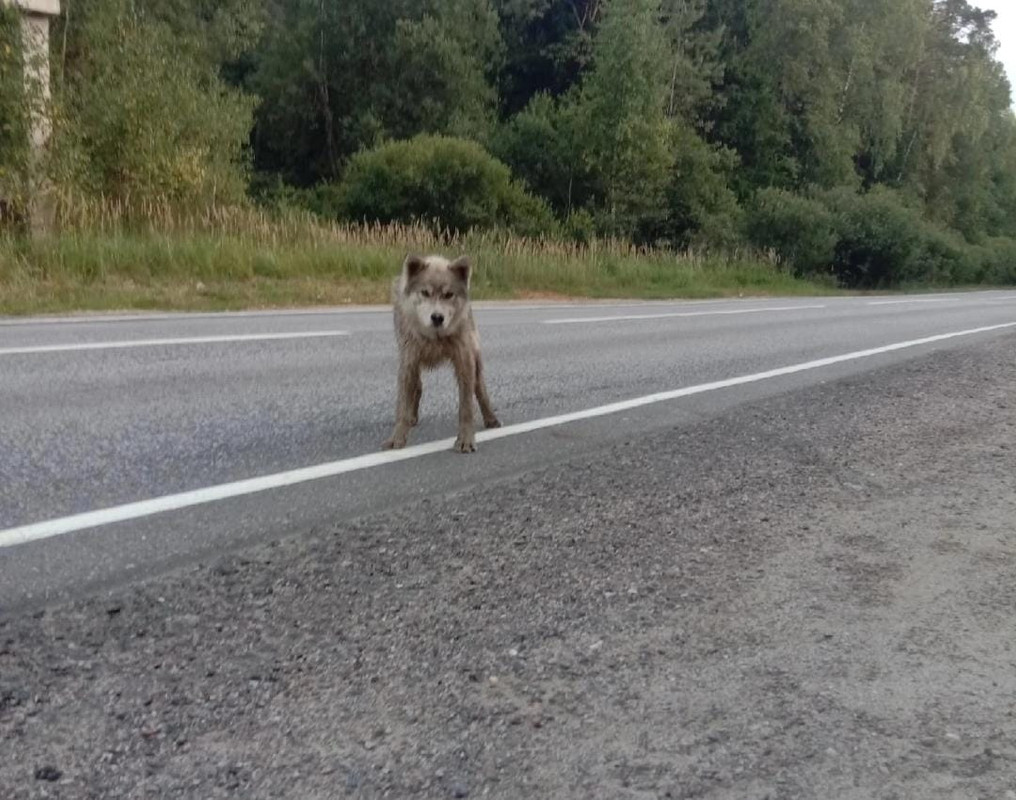 WhatsApp Image 2022-09-03 at 15.02.59 (1)