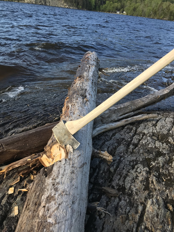 EE8F45DD-D22D-4074-85E0-E3F121856B47