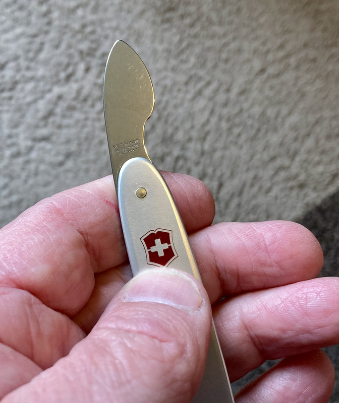 D203B6C4-2C9F-4AD7-8E07-97E0708503A6