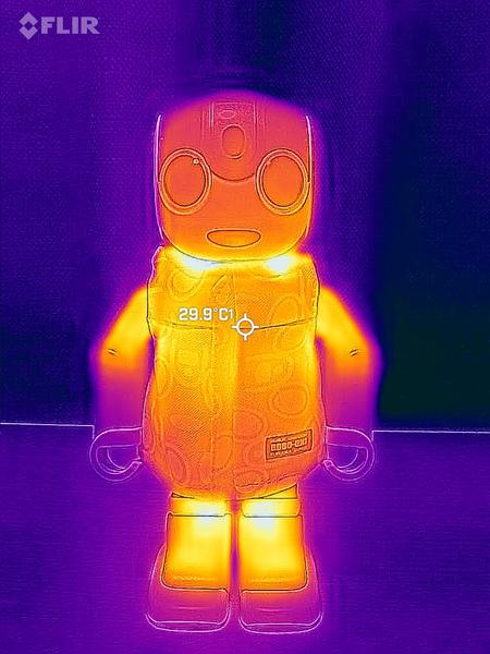 FLIR_20260129_122631_411.jpg