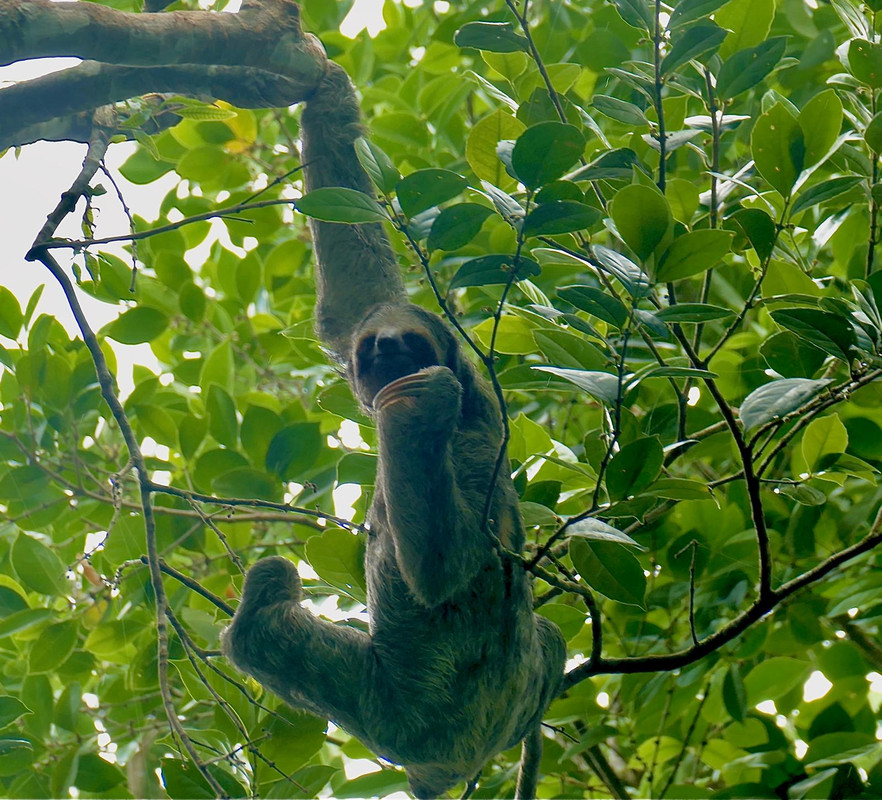 B8E1BA95-1E07-473A-A5CC-F46DED84A795