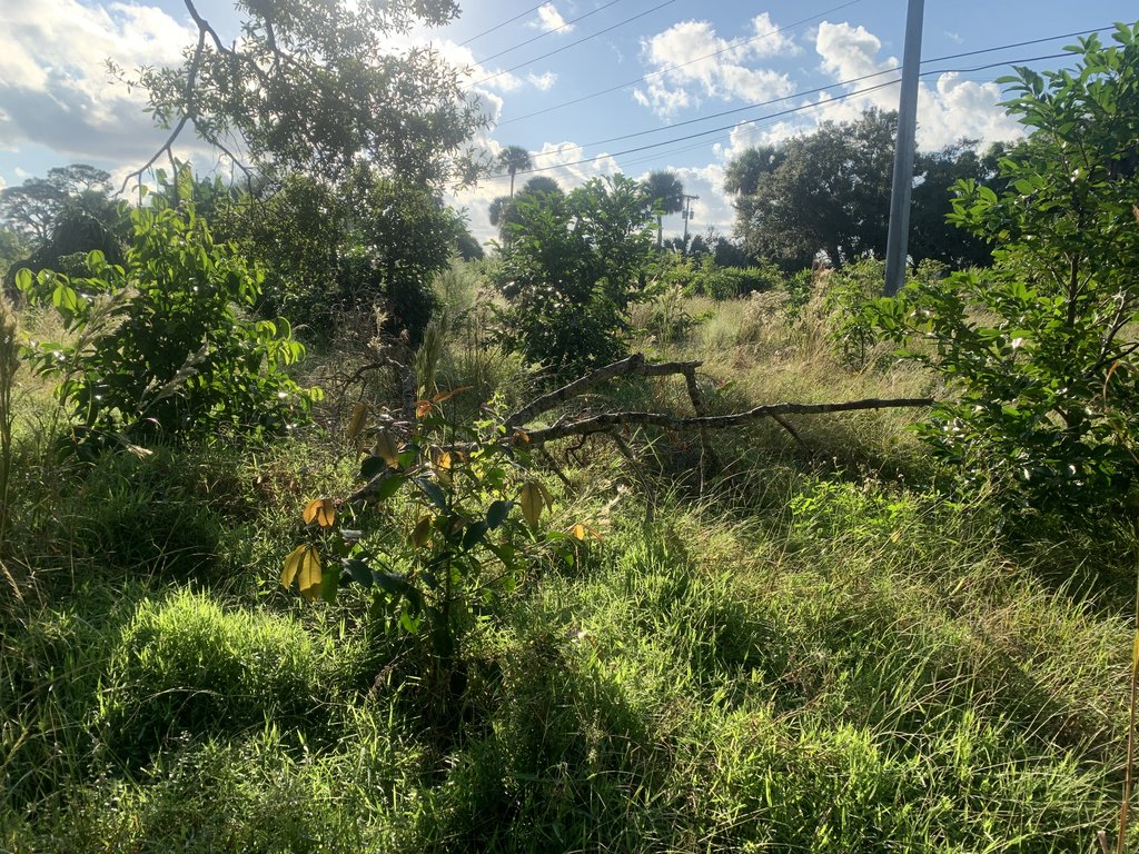 111E469A-B1A4-4AFA-A324-4BB5601C9B05