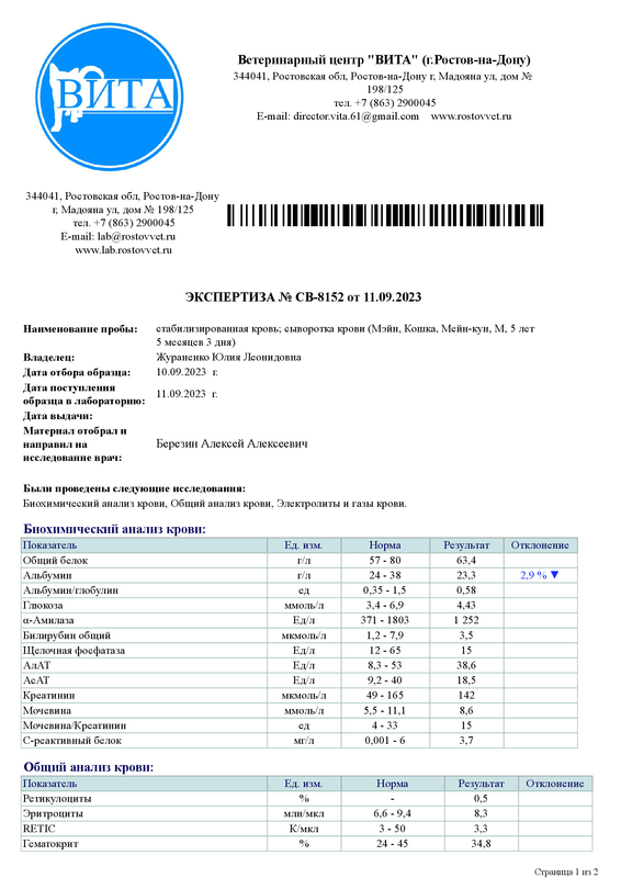 Мейн кровь 11.09