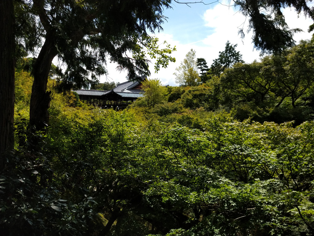 MARTES 11 - KYOTO Inari - Tofuku-ji, - Uji - JAPON. UNA GRAN AVENTURA , SIN ENAMORAMIENTO FINAL (2)