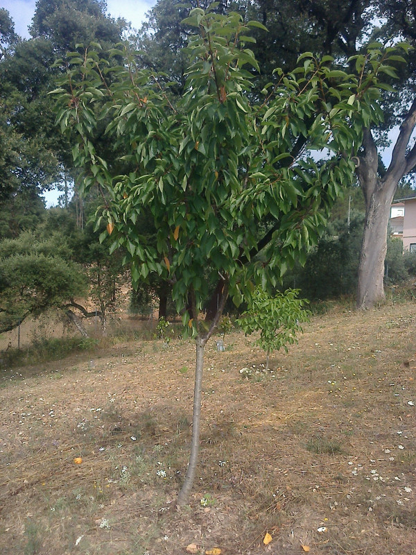 foto0149