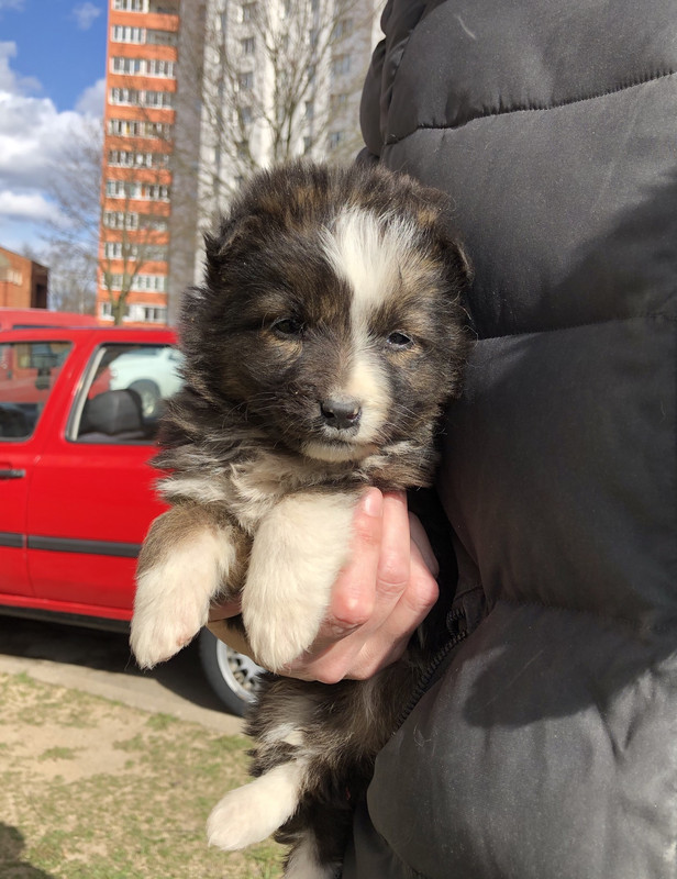 A9FBBB5C-0651-411B-BE53-8B90F5395C28