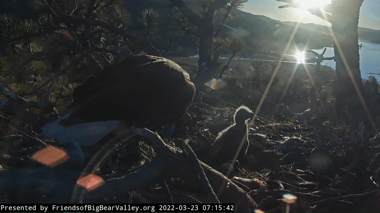 Webp.net-gifmaker (6)