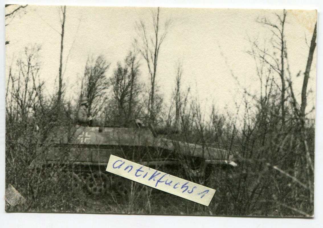 WH-Schützen-Panzer ( 251-9) in Stellung in Frank