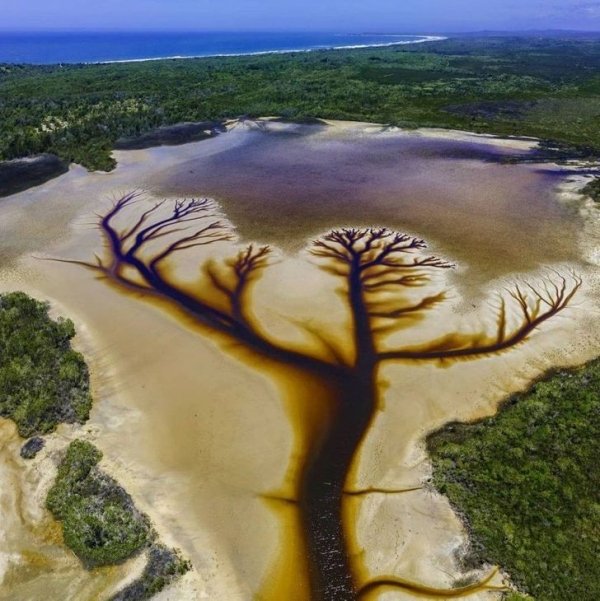 Naturaleza-5