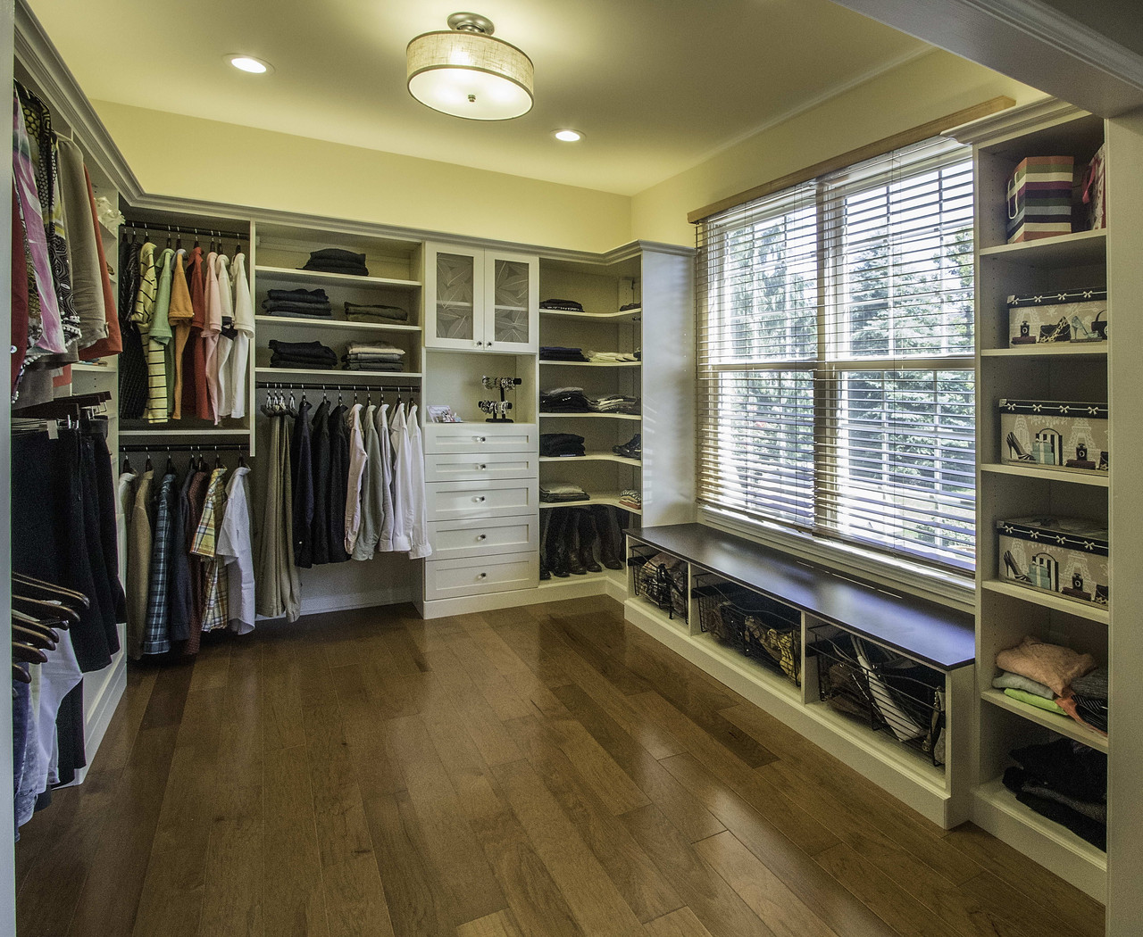 Priya's closet project