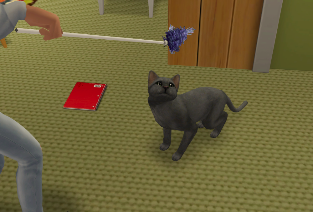 Sims2-EP9-RPC-2021-08-07-17-31-00-98