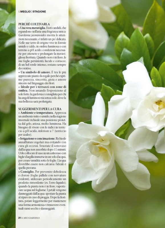 il mio Giar Apr Mag 2026 (1)