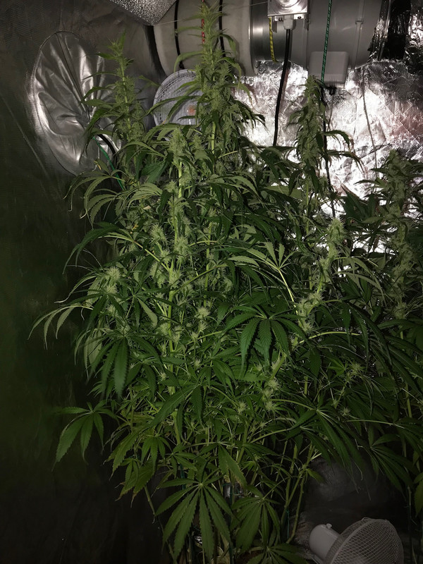 EAB0F844-84D5-4650-B2A3-3C9372C6C001