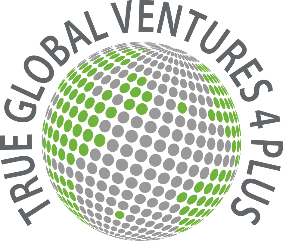 Global Ventures Logo